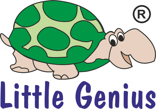 LITTLE GENIUS TOYS